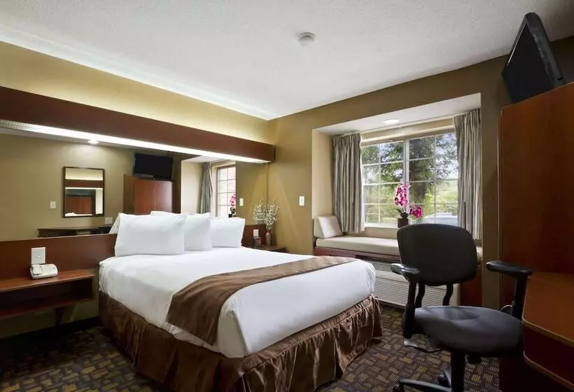 デラックススタジオ, Microtel Inn & Suites By Wyndham Lithonia/stone Mountain