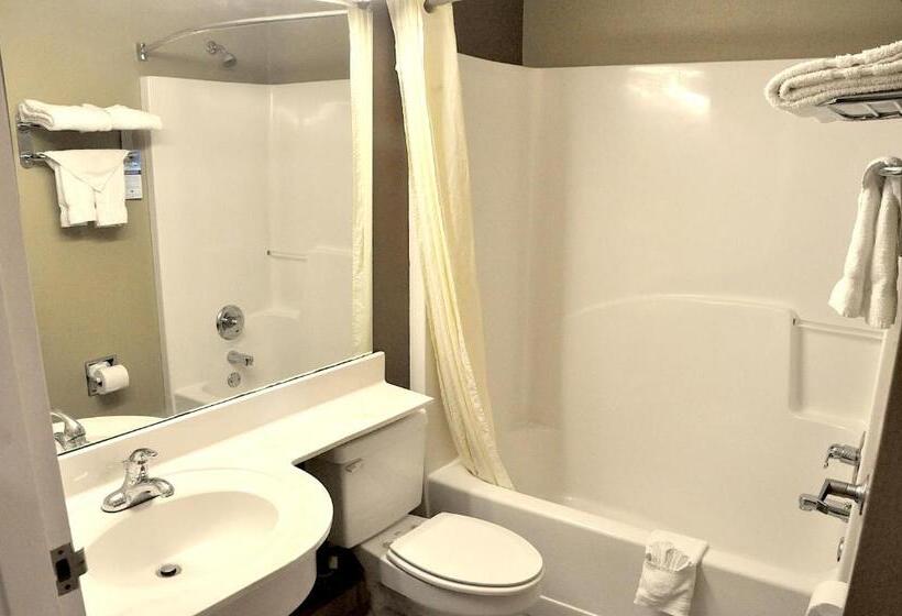 غرفة قياسية, Microtel Inn & Suites By Wyndham Lithonia/stone Mountain