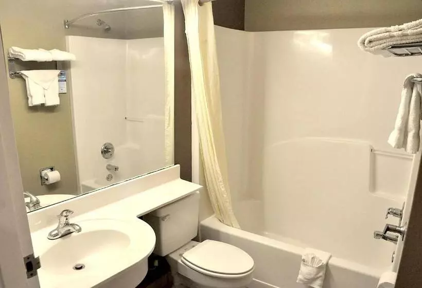 スタンダードルーム, Microtel Inn & Suites By Wyndham Lithonia/stone Mountain