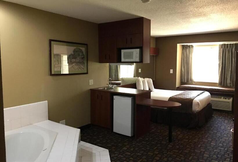 إستوديو ديلوكس, Microtel Inn & Suites By Wyndham Lithonia/stone Mountain