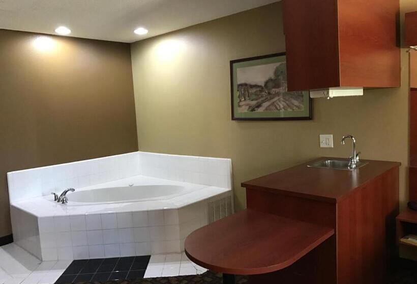 إستوديو ديلوكس, Microtel Inn & Suites By Wyndham Lithonia/stone Mountain