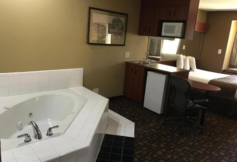 إستوديو ديلوكس, Microtel Inn & Suites By Wyndham Lithonia/stone Mountain