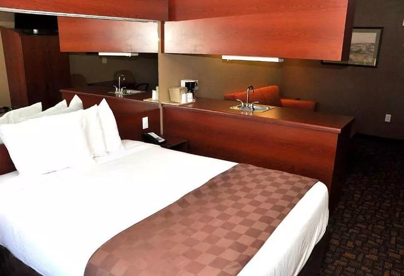 スタンダードスタジオ, Microtel Inn & Suites By Wyndham Lithonia/stone Mountain
