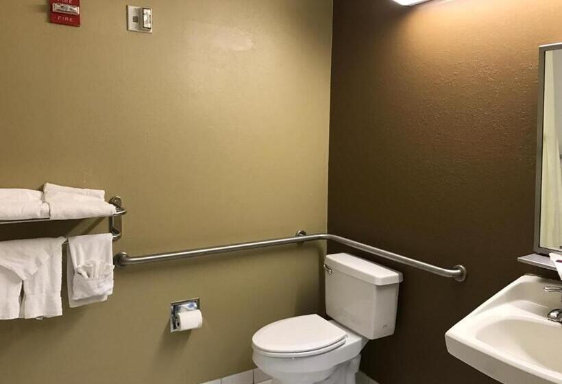 غرفة قياسية لذوى الاحتياجات الخاصة, Microtel Inn & Suites By Wyndham Lithonia/stone Mountain