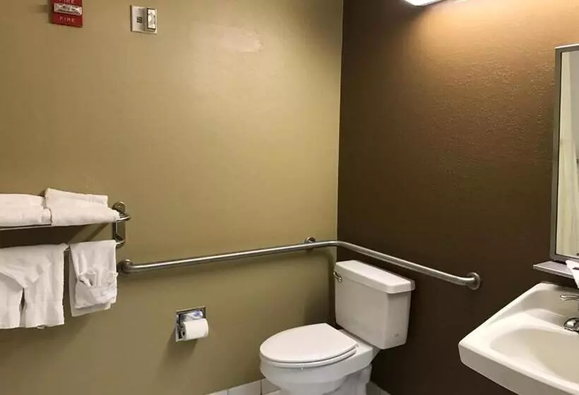 身障者適用スタンダードルーム, Microtel Inn & Suites By Wyndham Lithonia/stone Mountain