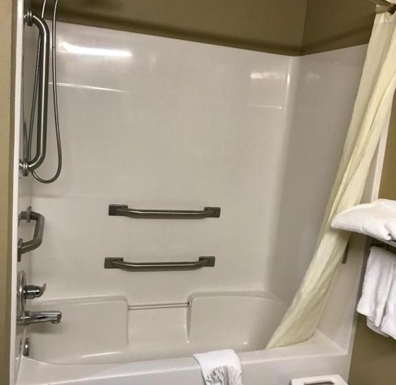장애인을 위한 스탠다드 룸, Microtel Inn & Suites By Wyndham Lithonia/stone Mountain