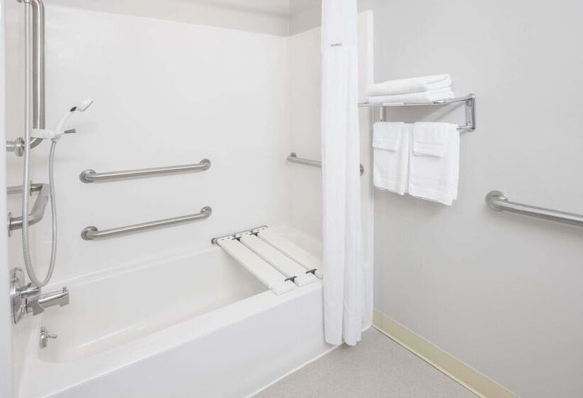 غرفة قياسية لذوى الاحتياجات الخاصة, Microtel Inn And Suites Manistee