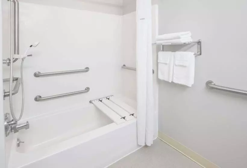 身障者適用スタンダードルーム, Microtel Inn And Suites Manistee