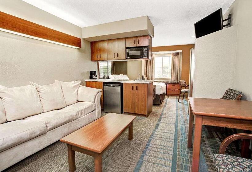 Студия Стандарт, Microtel Inn & Suites By Wyndham Mason