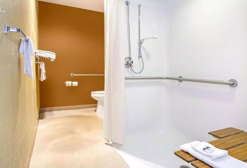 身障者適用スタンダードルーム, Microtel Inn & Suites By Wyndham Mason