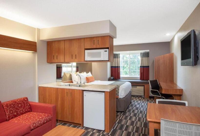 Студия Стандарт, Microtel Inn & Suites By Wyndham Springfield