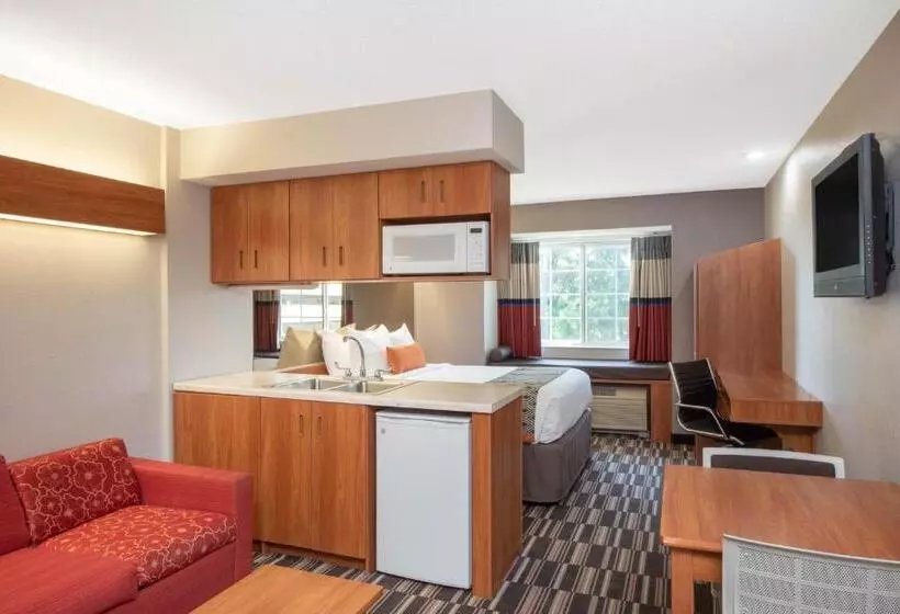 استودیوی استاندارد, Microtel Inn & Suites By Wyndham Springfield