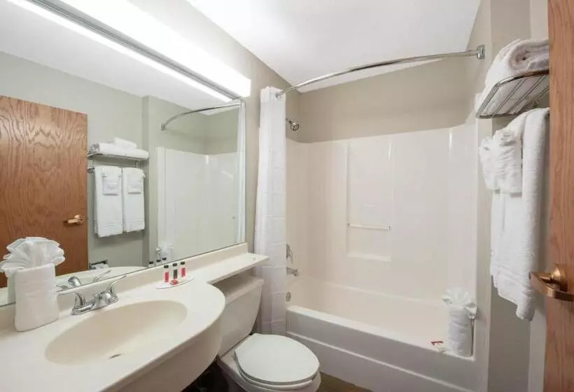 اتاق استاندارد برای معلولان, Microtel Inn & Suites By Wyndham Springfield