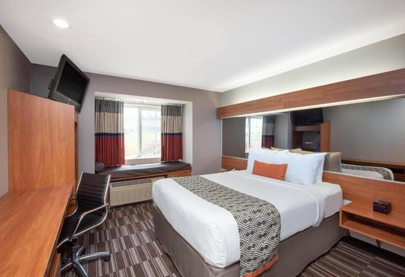 اتاق استاندارد برای معلولان, Microtel Inn & Suites By Wyndham Springfield
