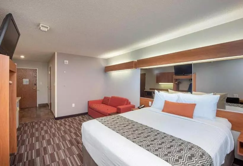 سوئیت برای معلولان, Microtel Inn & Suites By Wyndham Springfield