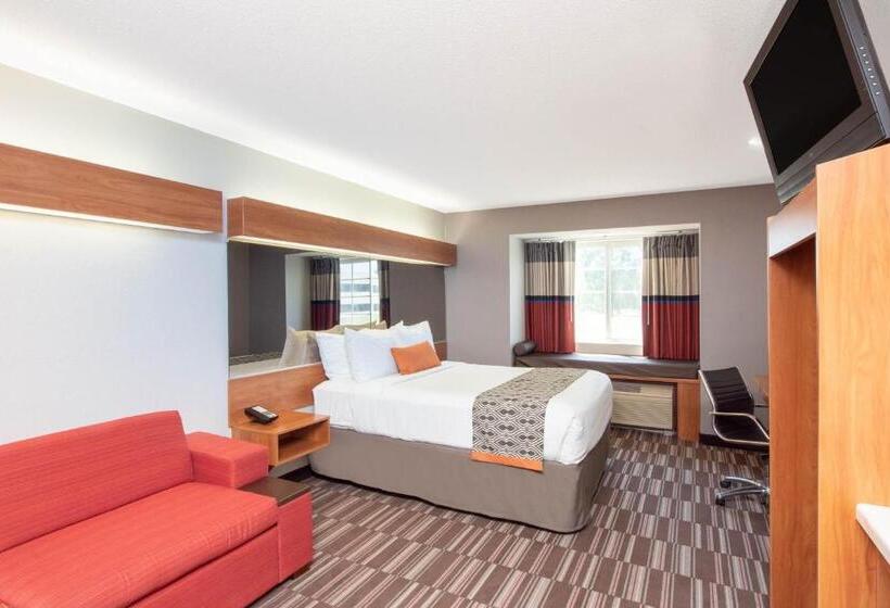 Люкс Адаптированный для Инвалидов, Microtel Inn & Suites By Wyndham Springfield