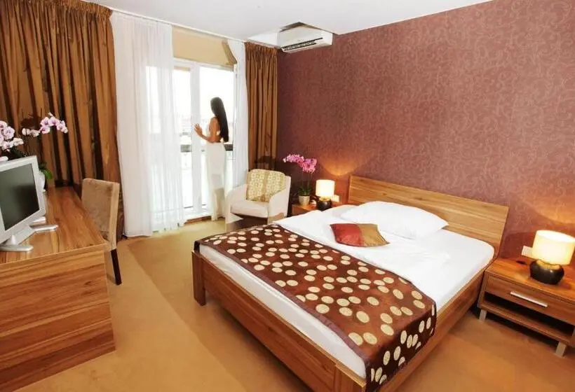 اتاق کلاس بیزنس, City Hotel Nitra