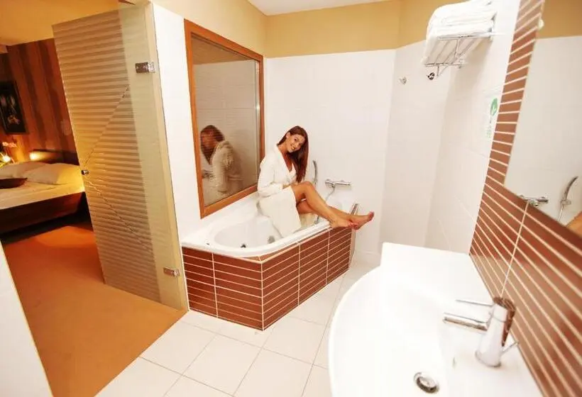 اتاق کلاس بیزنس, City Hotel Nitra