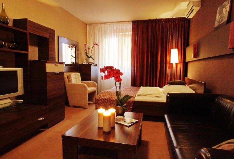 两卧家庭套房, City Hotel Nitra