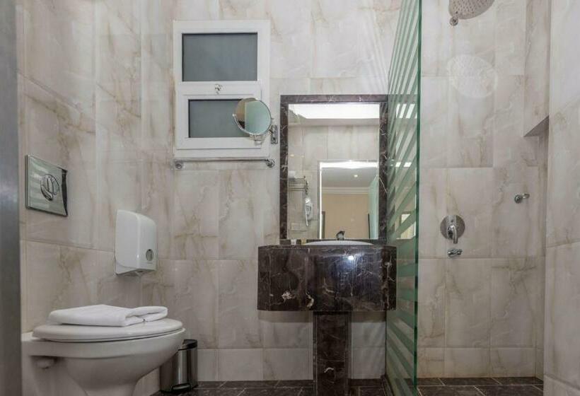 标准间, Hayat Al Riyadh