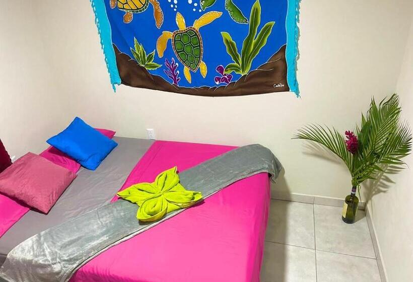 Номер Стандарт, Around Juan Santa María