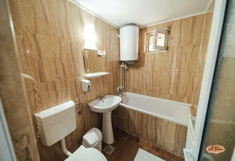 Апартаменты 1 Спальня, Casa Badea