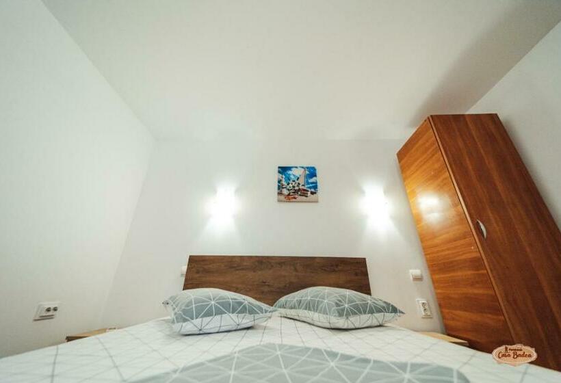 Апартаменты 1 Спальня, Casa Badea