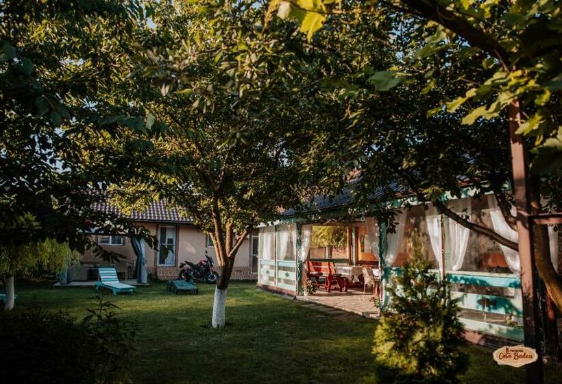 Апартаменты 1 Спальня, Casa Badea