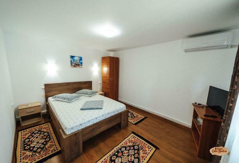 Апартаменты 1 Спальня, Casa Badea