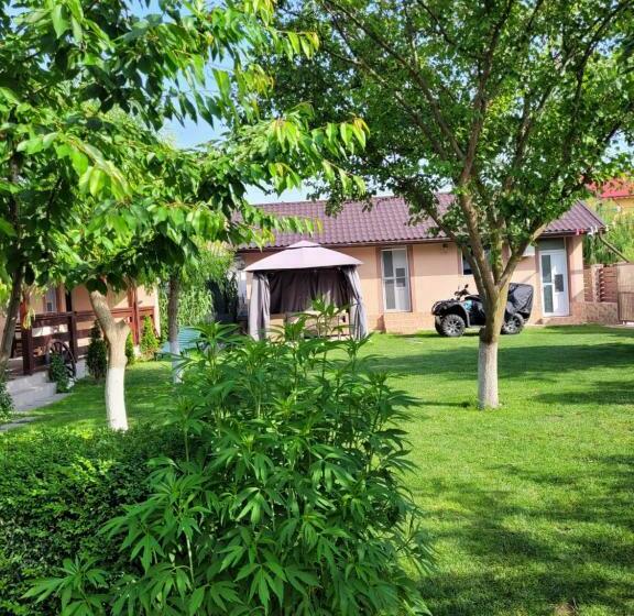 Апартаменты 1 Спальня, Casa Badea