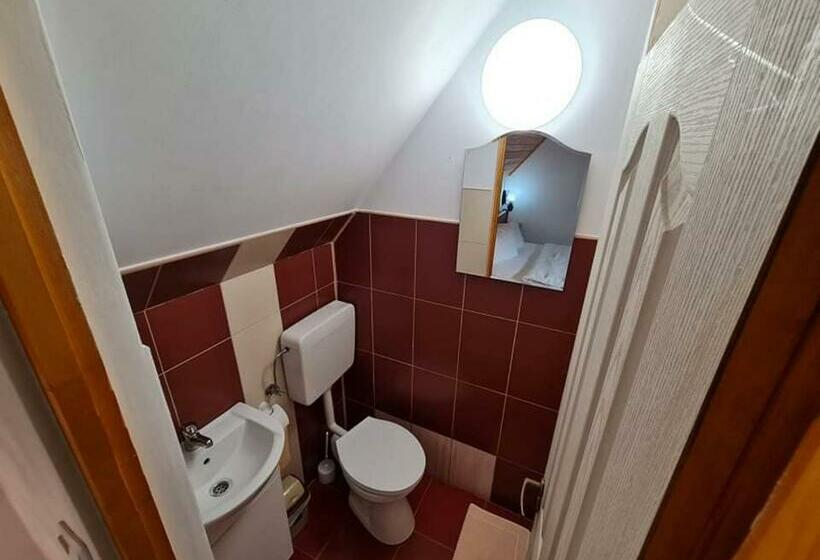 스탠다드 룸, Pensiunea Otilia