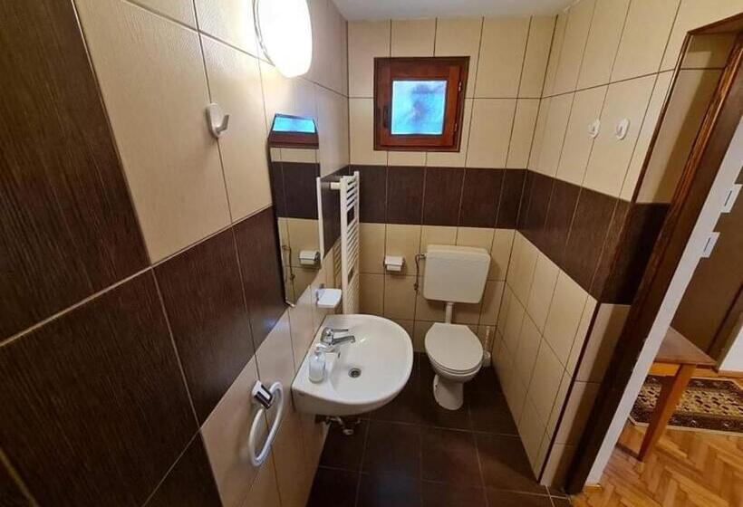 스탠다드 룸, Pensiunea Otilia