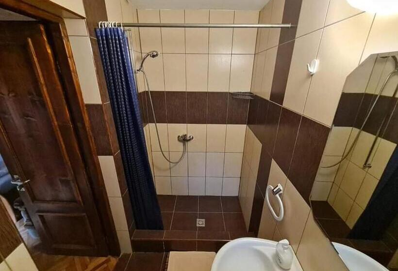 스탠다드 룸, Pensiunea Otilia