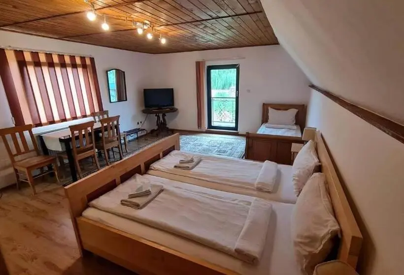 اتاق استاندارد سه نفره, Pensiunea Otilia