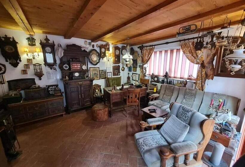 침실 1개 주택, Pensiunea Otilia