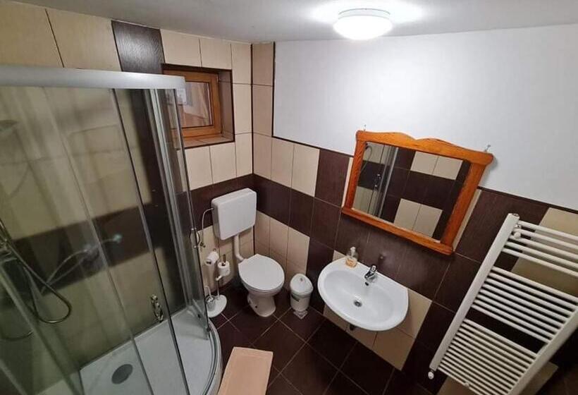 스탠다드 룸, Pensiunea Otilia