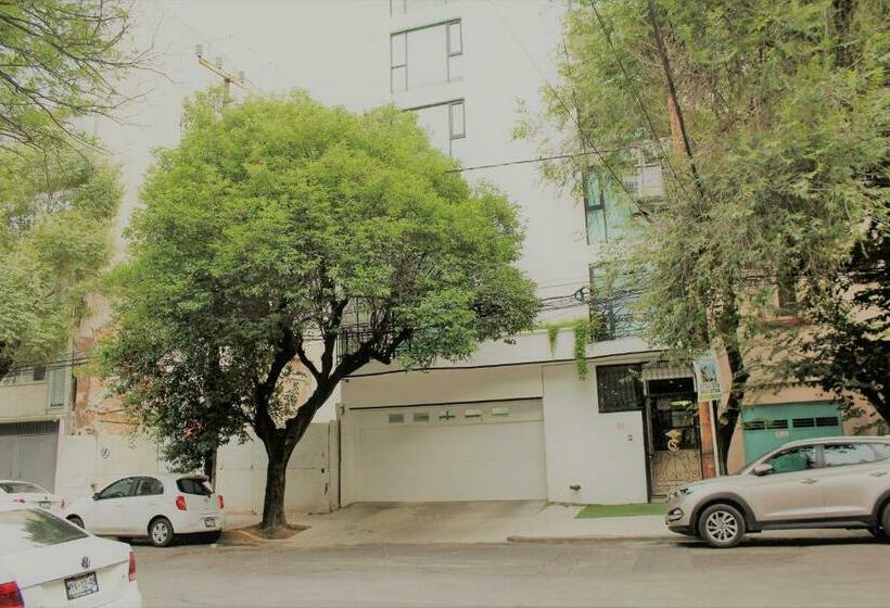 スタンダードルーム, Condesa Suites