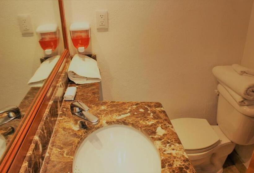 スタンダードルーム, Condesa Suites