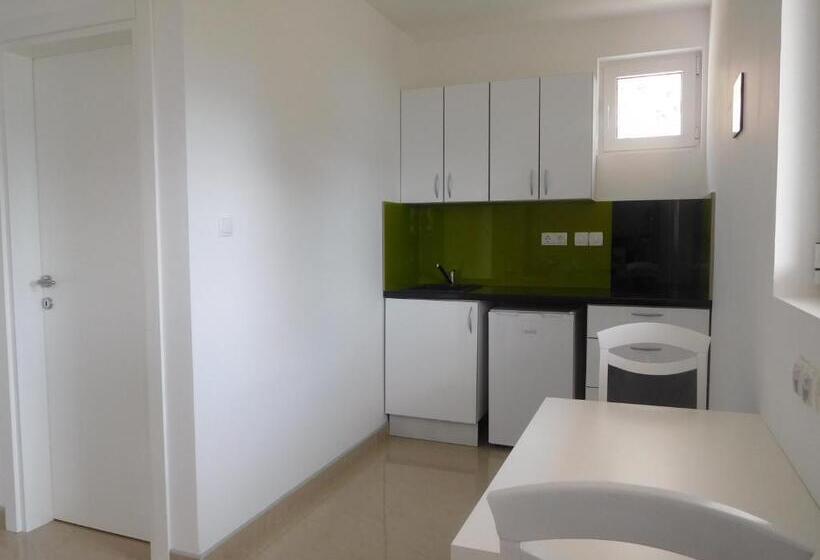 استودیوی استاندارد با چشمانداز دریا, Villa Aronija