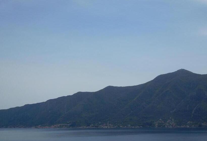 سوئیت پرزیدنت, Villa Aronija