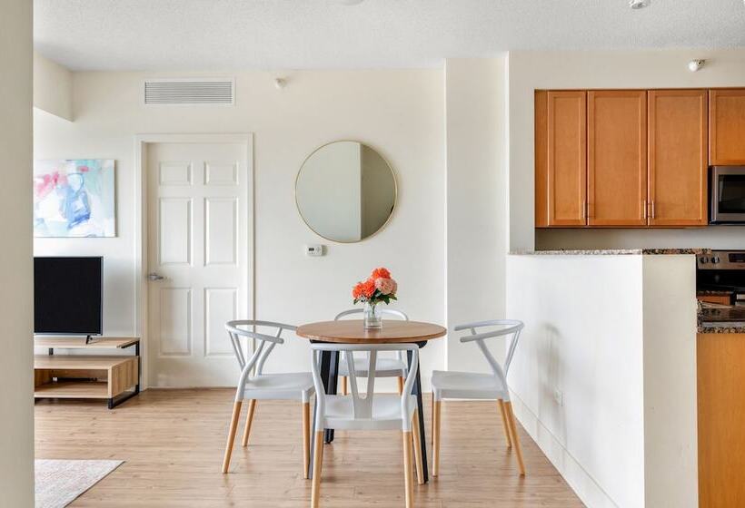 آپارتمان سوپریور 1 خوابه, Kasa South Loop Chicago