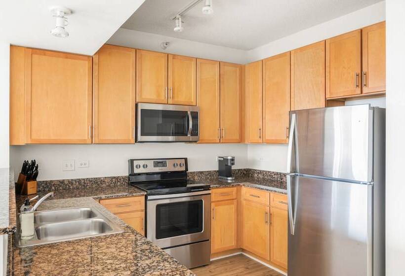 آپارتمان خانوادگی, Kasa South Loop Chicago