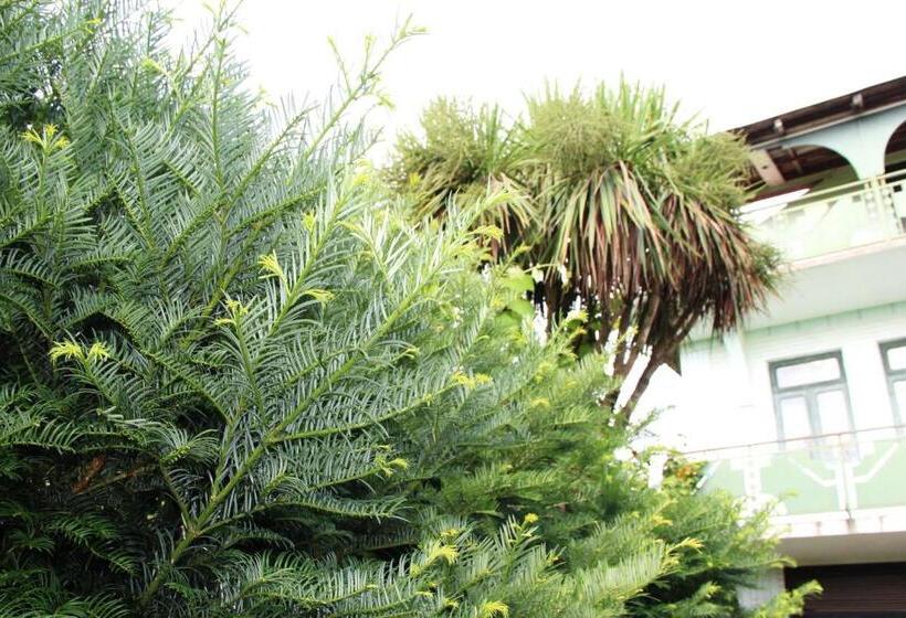 آپارتمان 1 خوابه, Guesthouse Green House