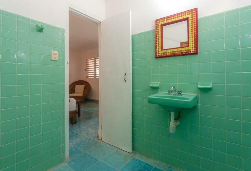 Стандартный Номер Кровать Кинг, Casa Del Solar Centro Cozumel Wifi Gratuito Fibra óptica 200 Mbps