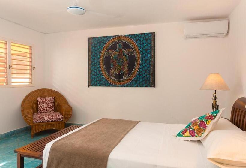 Номер Стандарт, Casa Del Solar Centro Cozumel Wifi Gratuito Fibra óptica 200 Mbps