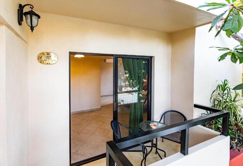 Студия Superior, Casa Del Solar Centro Cozumel Wifi Gratuito Fibra óptica 200 Mbps