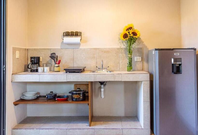 Студия Superior, Casa Del Solar Centro Cozumel Wifi Gratuito Fibra óptica 200 Mbps