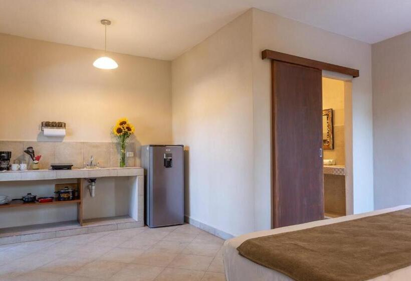 Студия Superior, Casa Del Solar Centro Cozumel Wifi Gratuito Fibra óptica 200 Mbps