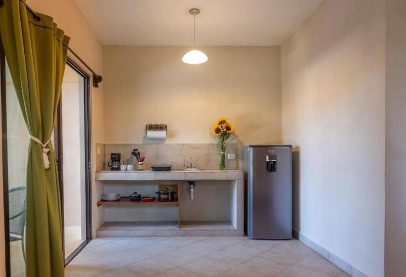 Студия Superior, Casa Del Solar Centro Cozumel Wifi Gratuito Fibra óptica 200 Mbps