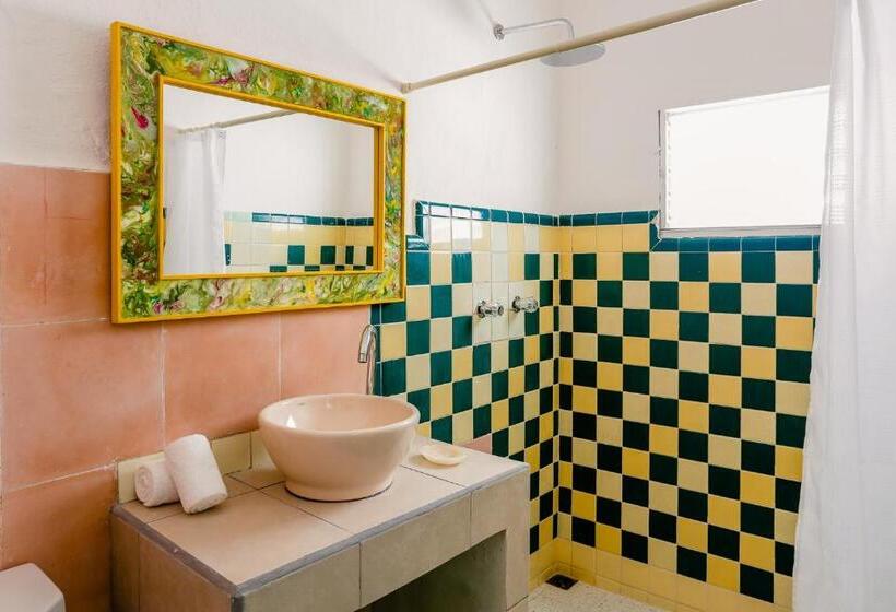 Апартаменты 1 Спальня Нижний Этаж, Casa Del Solar Centro Cozumel Wifi Gratuito Fibra óptica 200 Mbps